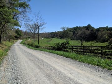 taking the long way home