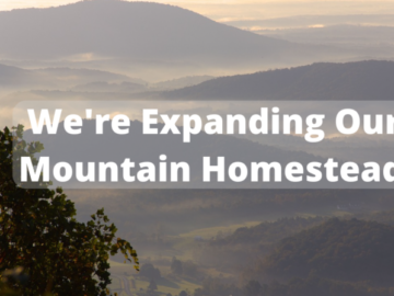 expanding our mountain homestead