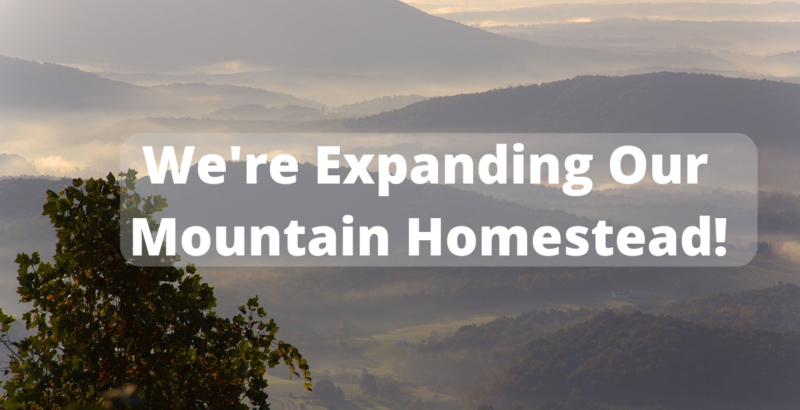 expanding our mountain homestead