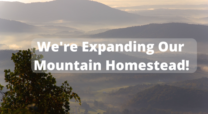 expanding our mountain homestead